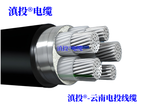 WWW.YNJTDL.COM